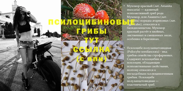 бошки Абинск