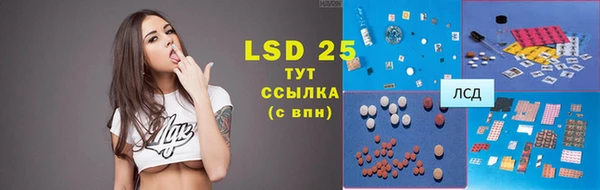 ГАЛЛЮЦИНОГЕННЫЕ ГРИБЫ Осинники