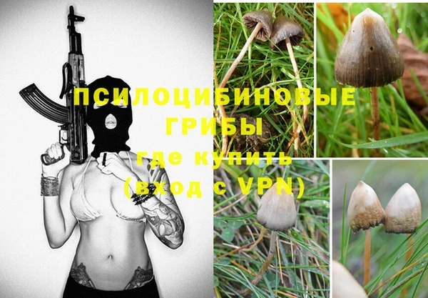 ГАЛЛЮЦИНОГЕННЫЕ ГРИБЫ Осинники