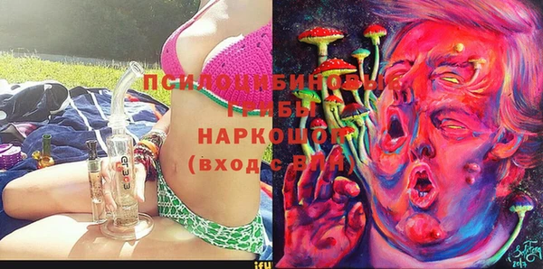бошки Абинск