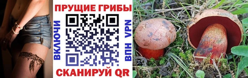 Псилоцибиновые грибы Psilocybe  купить наркотик  Тотьма 